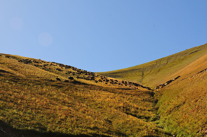 Kyrgyzstan, Asie Centrale